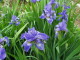 img0048.jpg