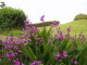 img0049.jpg