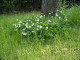 img0053.jpg