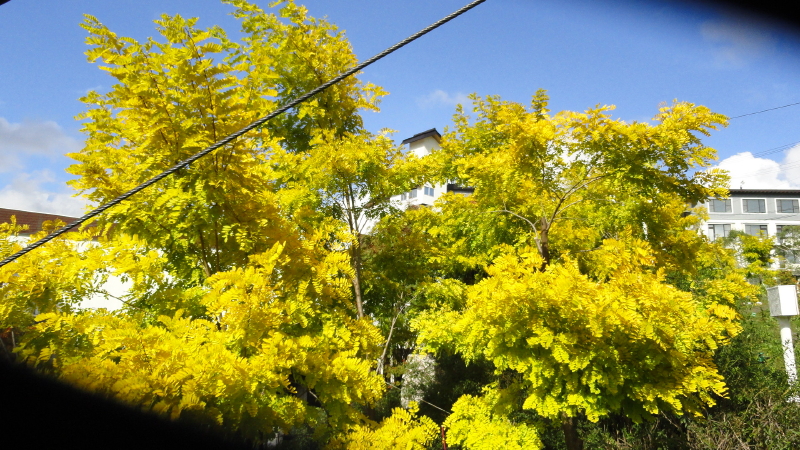 img0010.jpg