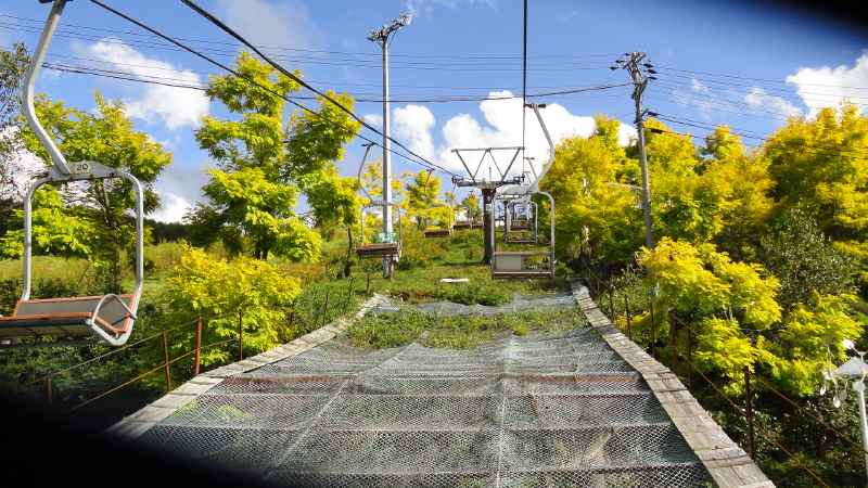 img0011.jpg