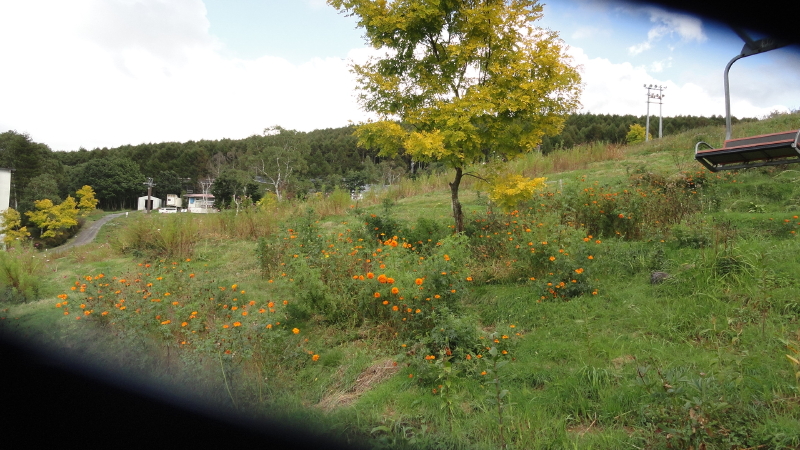 img0015.jpg