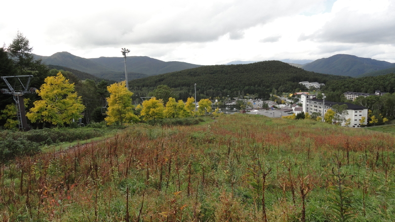 img0020.jpg