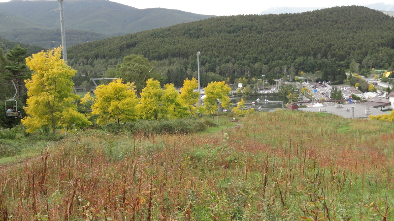 img0021.jpg