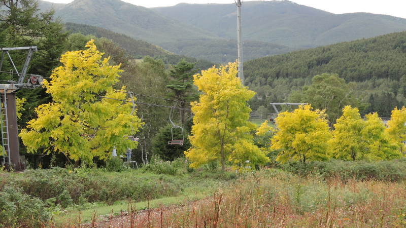 img0024.jpg
