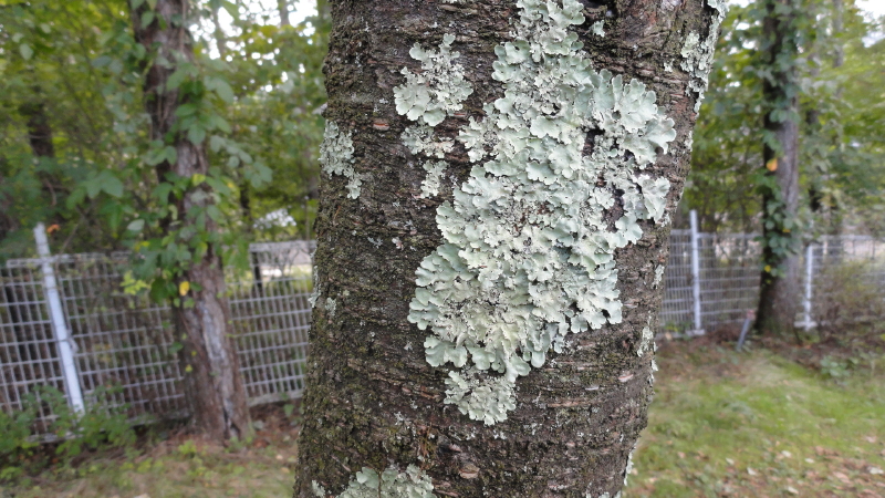 img0028.jpg