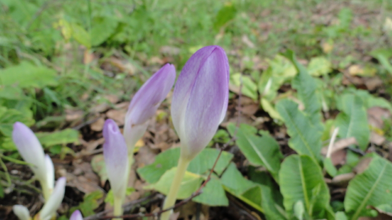 img0031.jpg