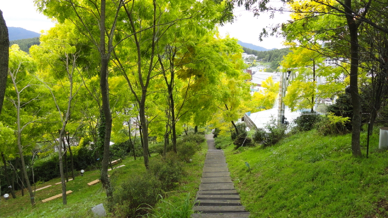 img0035.jpg