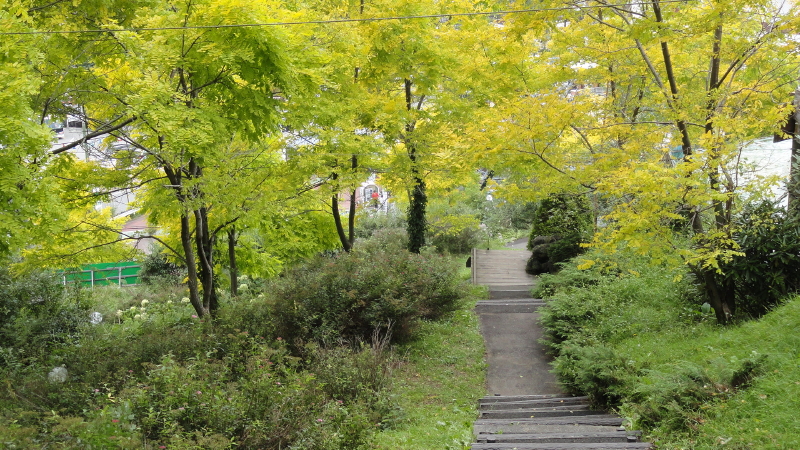 img0036.jpg