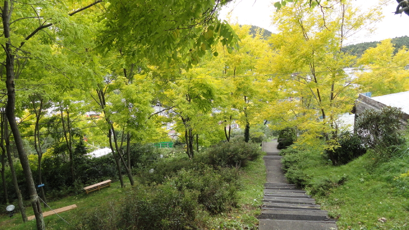 img0037.jpg