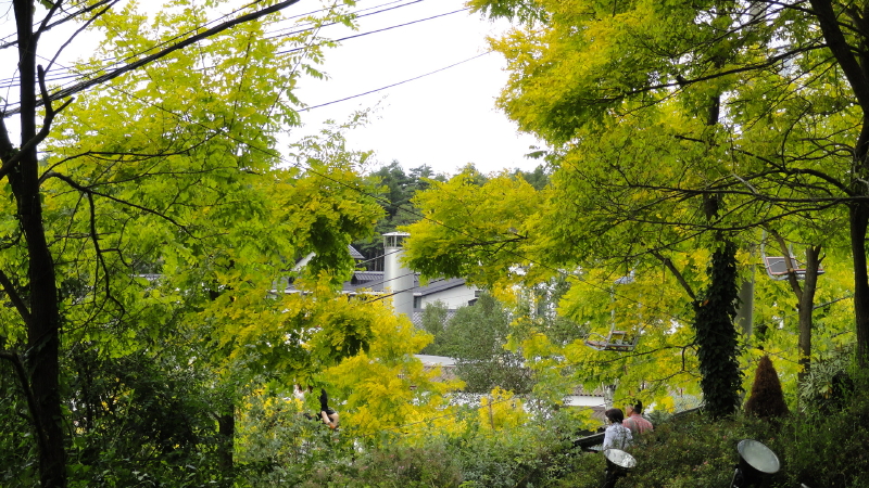 img0040.jpg
