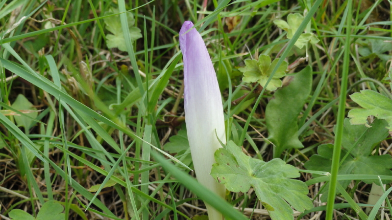 img0047.jpg