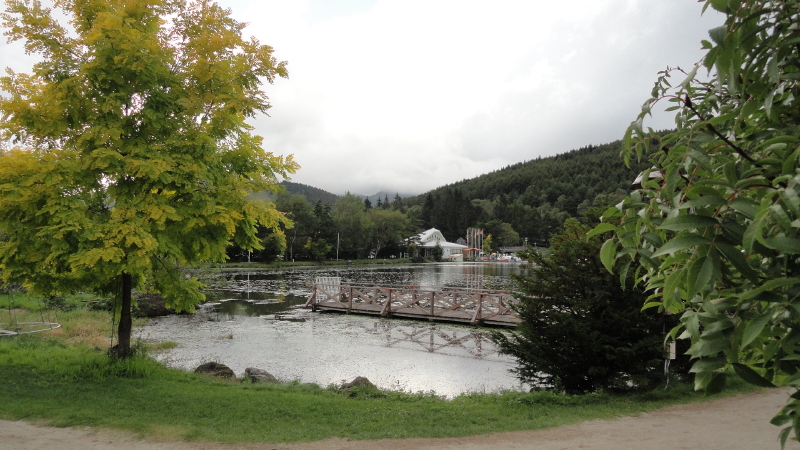 img0051.jpg