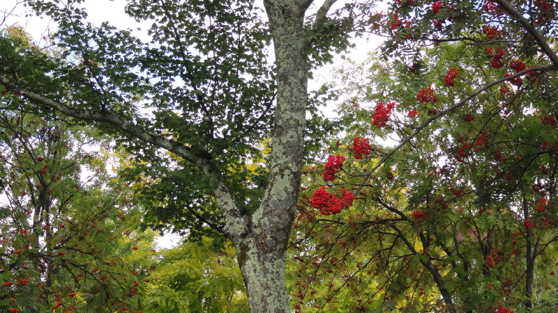 img0054.jpg