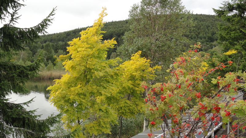 img0060.jpg