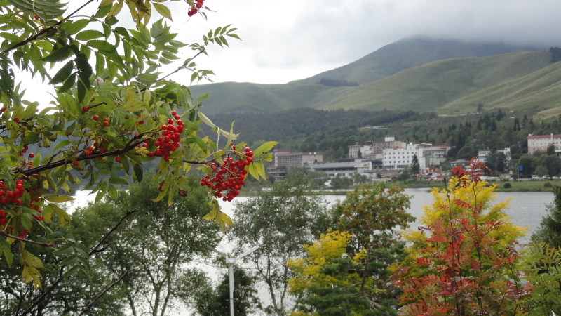 img0077.jpg