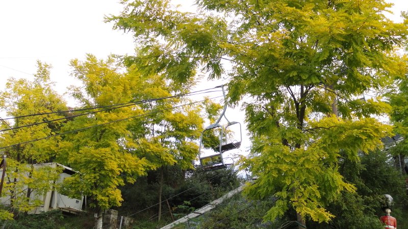 img0078.jpg