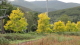 img0024.jpg