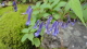 img0027.jpg