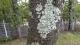 img0028.jpg