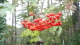 img0029.jpg