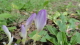img0031.jpg