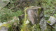 img0032.jpg