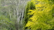 img0034.jpg