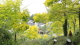 img0041.jpg
