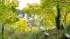 img0042.jpg