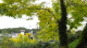 img0043.jpg