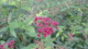 img0044.jpg