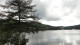 img0063.jpg