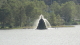 img0065.jpg