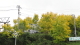 img0079.jpg