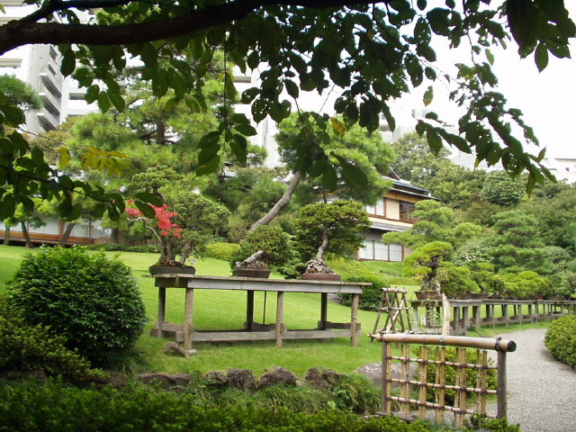 img0007.jpg