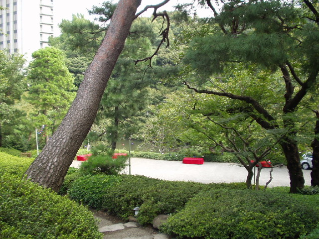 img0008.jpg
