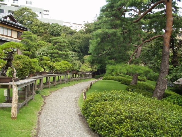img0009.jpg