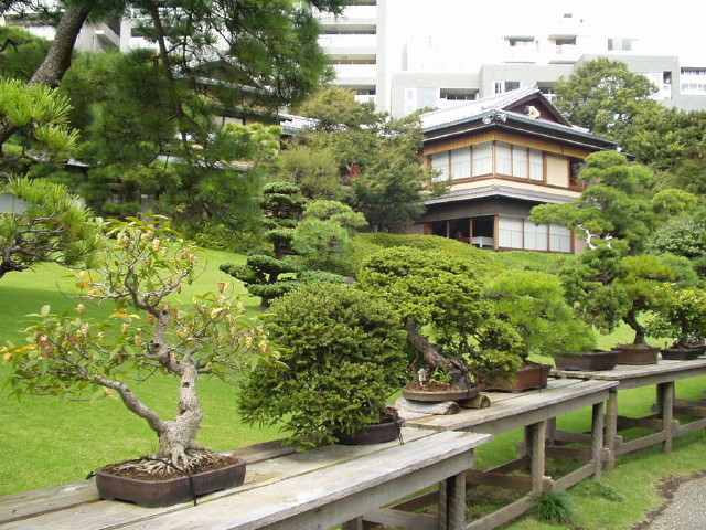 img0011.jpg