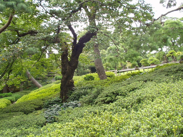 img0016.jpg