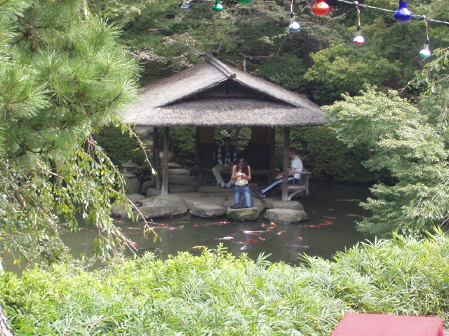 img0017.jpg
