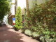 img0002.jpg