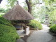 img0006.jpg