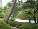 img0008.jpg