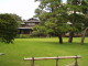 img0010.jpg