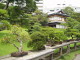 img0011.jpg