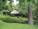 img0013.jpg