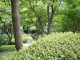 img0014.jpg