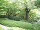 img0015.jpg