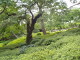 img0016.jpg